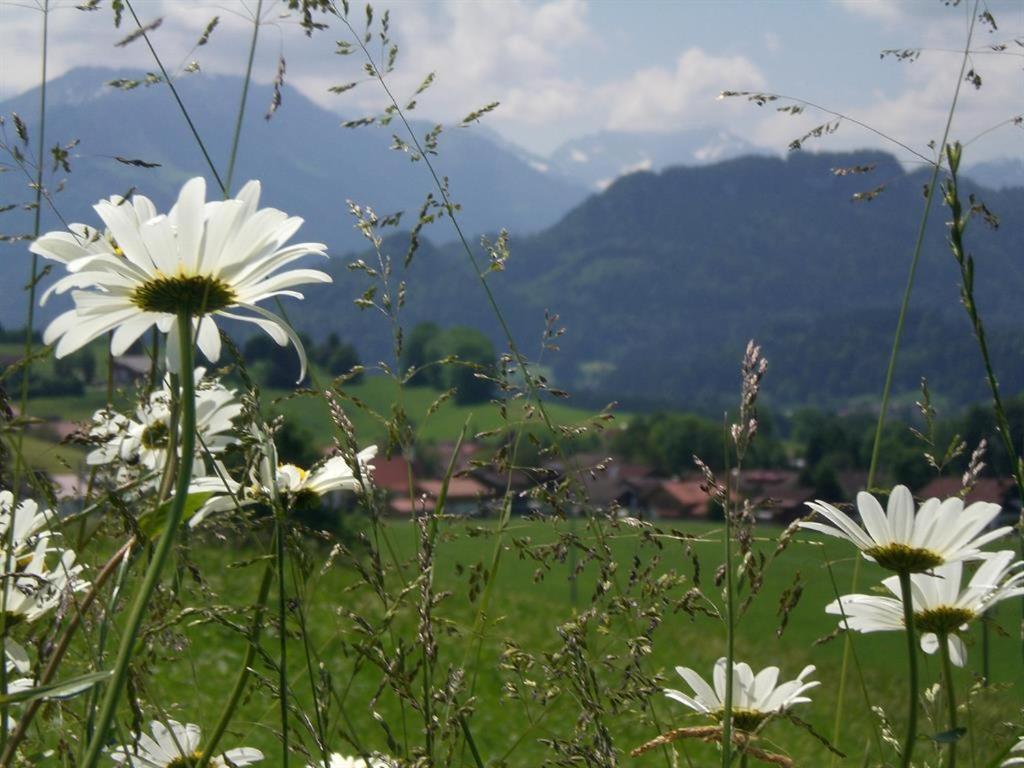 Ferienwohnung Landhaus Martin Sonthofen Dış mekan fotoğraf